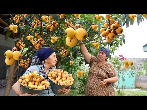 Golden Loquat Harvest! Making Natural and Delicious Fruit