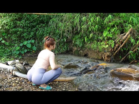 Interesting Fishing in Lakes and Rivers, Young Girl's
