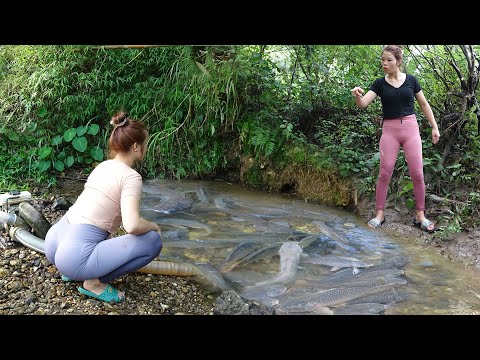 Top Fishing Videos: Amazing Fishing, Catching a Lot Of Big