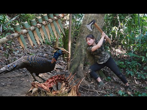 trapping wild birds, shooting fish in streams at night,