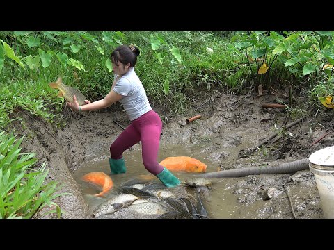Greatest Fishing Video | Exciting Fishing | The Girl Drain
