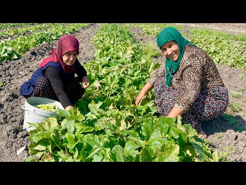 KÖY HAYATI SEVENLER PATLICAN HASADI KIŞLIK YAPIMI