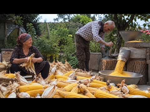 How Azerbaijani Village Farmers Harvest Corn & Make Maize