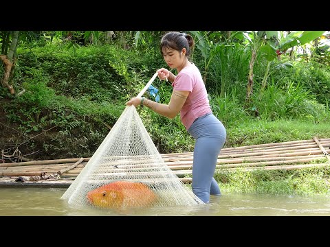 How To Catch Fish In The Wild, Amazing Cast Net Fishing