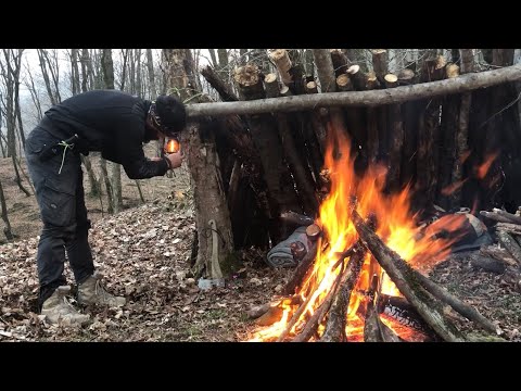 building a wooden shelter-no tarp: surviving and bushcraft