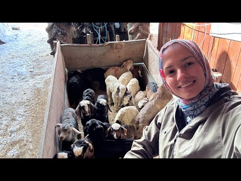 TAŞINIYORUZZZ