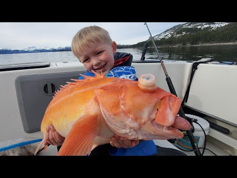 3 Days Camping in Alaska & Eating What We Catch - Shrimp