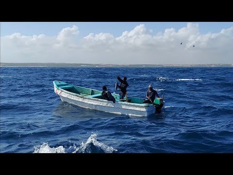 ​​recreation indian Ocean fishing