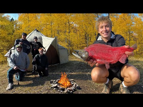 48 Hours Fall Camping in the Mountains - Campfire Cooking &