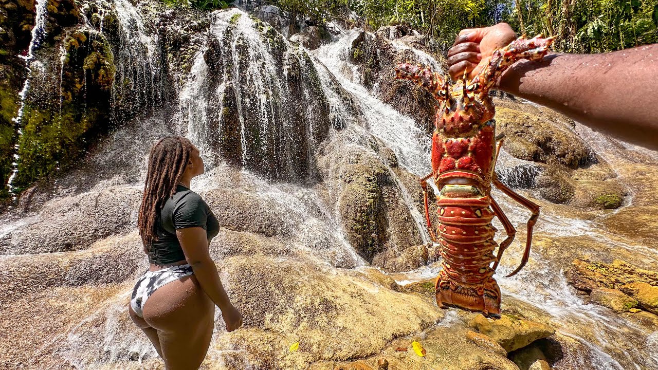 Lobster Season Opener Catch & Cook On The Rocks