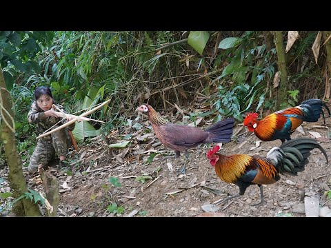 Nighttime Wild Chicken Hunt Crossbow Skills for Solo
