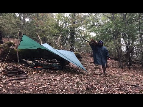 camping in the autumn forest: solo camping in forest