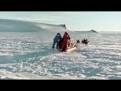 Expédition Transantarctica, une aventure au bout du monde