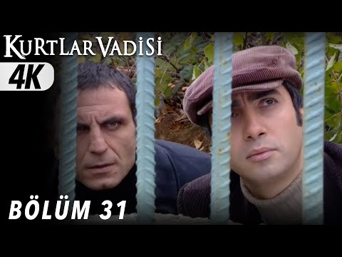 31 Bölüm Kurtlar Vadisi