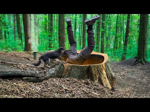 Building the Best Secret Dugouts Bushcraft, Survival