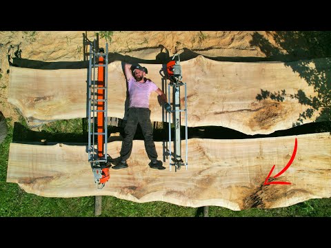 Surprise in an abandoned log