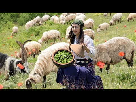Nomadic life of IRAN! Cooking Dish Called Dolme in Mountain