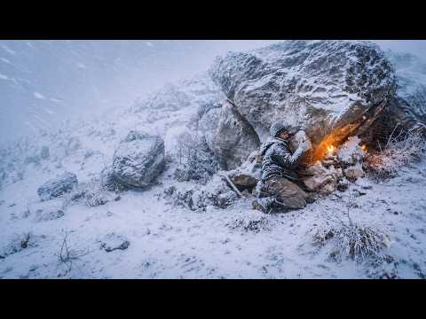 Surviving −60°C in Deep Snow Finding a Rocky Shelter and