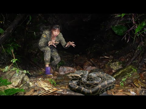 Make a trap to catch wild animals, a dangerous new place,