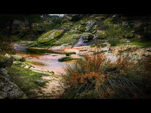 Yağmurda Doğa Yürüyüşü, 4K / Hiking in the Rain, 4K