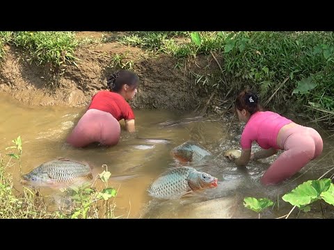 Full Videos: Fishing Techniques, How To Catch Fish In The