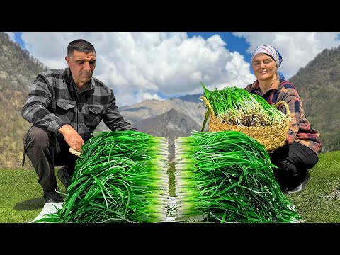 We Gathered Herbs In The Mountains And Cooked Tender Rustic