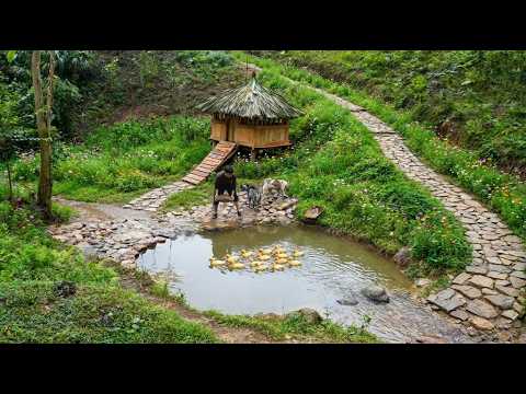 Building a Circular Fish Pond for Ducks Catching Fish in