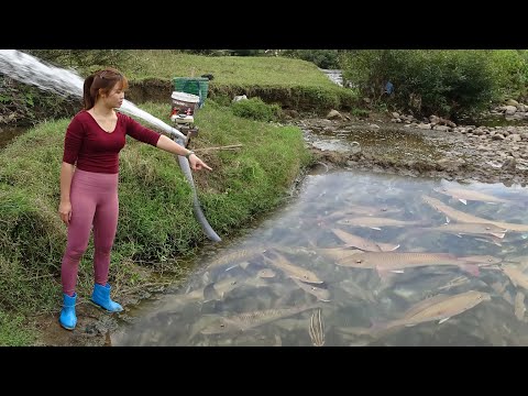 Full Videos: Greatest Fishing Videos, Harvesting a Lot Of