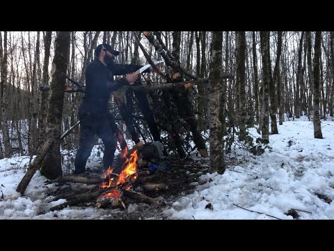 Winter Survival Camping in -12°C Snowy Forest -no tarp: