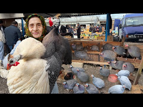 Delicious Roasted GUINEA FOWL - Relaxing Village Cooking