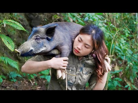 Skills in setting traps, hunting wild boars, and making