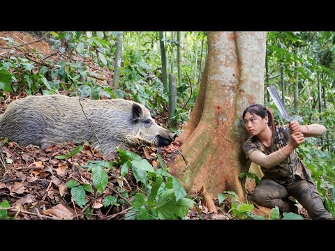 new traces discovered, wild boar, digging holes to make