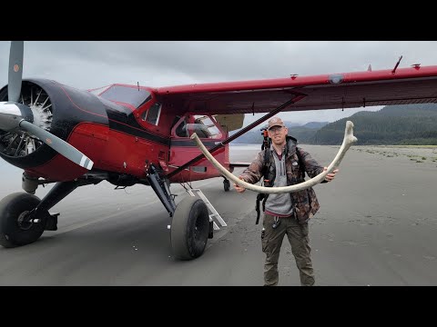 4 Days Solo Camping on Island Full of Whale Bones & Grizzly
