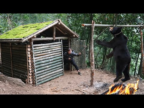 Discovering wild bear tracks, building a new shelter,