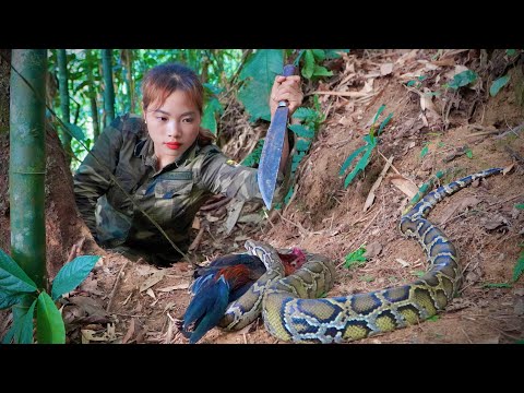 Skills, trapping, wild chickens, and survival in the