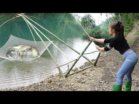 Amazing Fishing | Traditional Fishing Technique Using