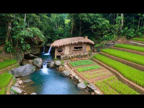 24-Year-Old Turns Wild Jungle Into a Self-Sufficient Farm