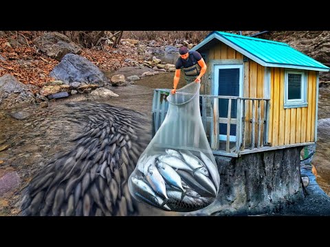 I Built Cozy Shelters in Nature and Developed Different