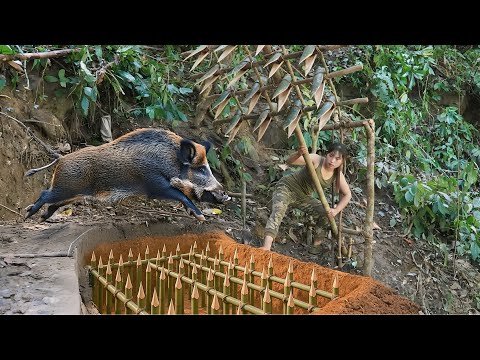 Wild boar trap during the day – upgrade fence for shelter,