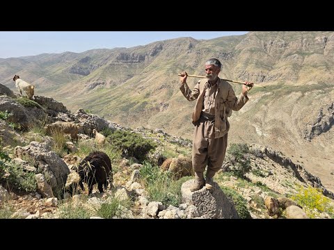 Iran Nomadic Life: Traversing Difficult Paths to Graze
