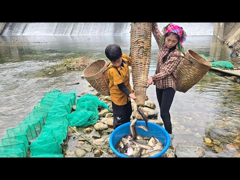 Trapping fish with an octagonal trap, selling fish in the
