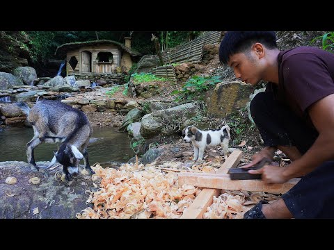 Full Video: 30 Days of Building a Wood Shop Living Alone