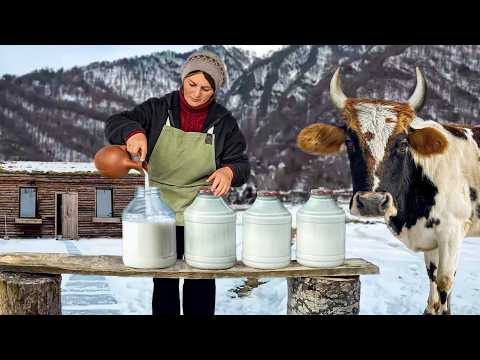 Making Homemade Cheese From Cow Milk Quiet Life in Faraway