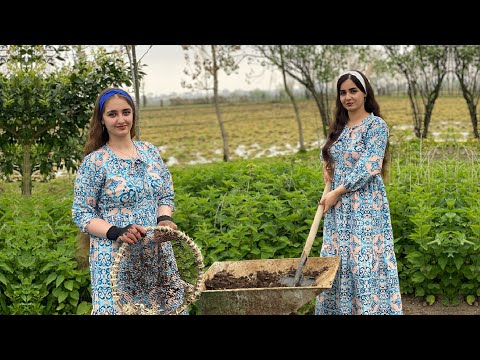 Spring Farm Life: Preparing Soil, Sifting Manure, and