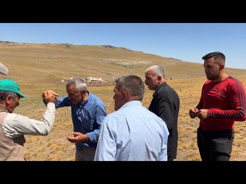 KUZULARIN BİR KISMI SATILDI—HAK KUZULARINI ALDIK