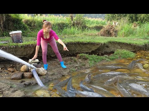 Hunting Wild Fish: The Girl Use Cannon Pump Sucks Water