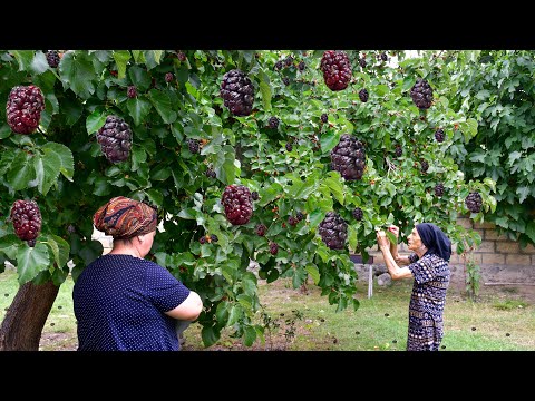 Natural Juice From MULBERRY and PEACH | outdoor cooking