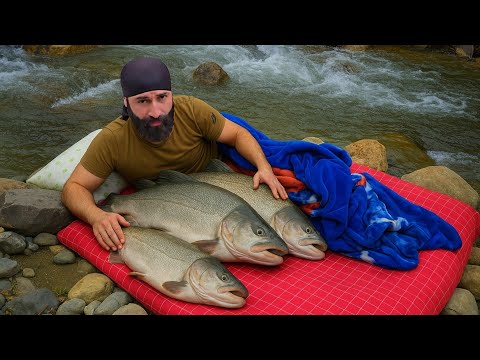 Sleep fishing / Uykuda Balık Tutmak