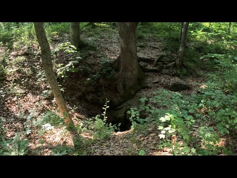 250 Foot Deep Sinkhole In The Woods