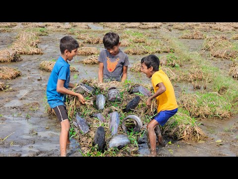 Village Boys Catch Rare Fish in Muddy Waters – Unbelievable